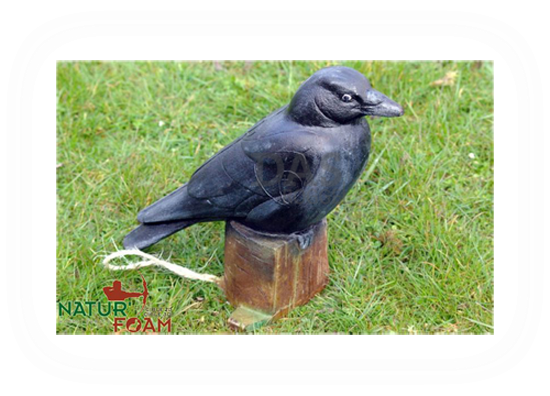 Target 3-D Naturfoam RAVEN
