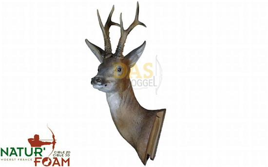 Picture of Naturfoam Target 3d  Roedeer - Turning Head