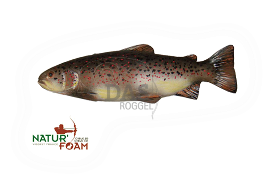 Target 3-D Naturfoam TROUT