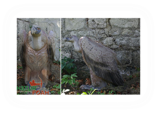 Target 3-D Naturfoam VULTURE