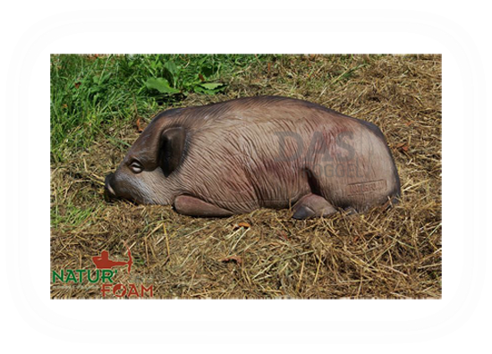 Target 3-D Naturfoam WILD BOAR - LYING