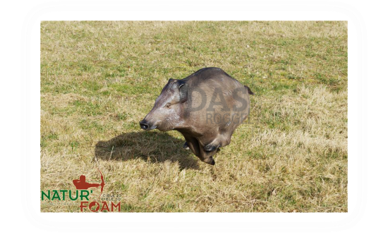 Target 3-D Naturfoam WILD BOAR - RUNNING