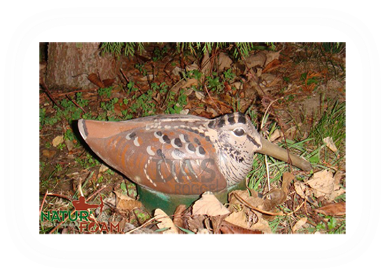 Target 3-D Naturfoam WOODCOCK