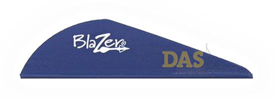 Bild von Fahnen Bohning Blazer  2"