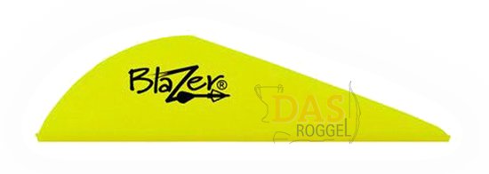 Bild von Fahnen Bohning Blazer  2"