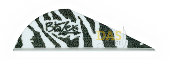 Bild von Fahnen Bohning Blazer  2"