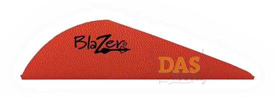 Bild von Fahnen Bohning Blazer  2"