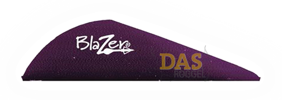 Bild von Fahnen Bohning Blazer  2"