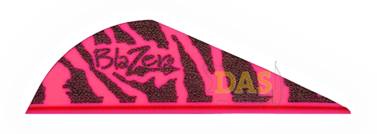 Bild von Fahnen Bohning Blazer  2"