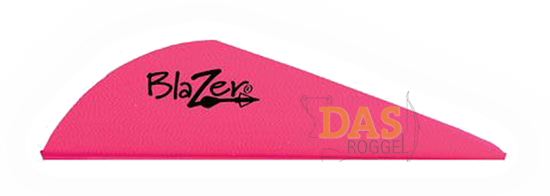 Bild von Fahnen Bohning Blazer  2"