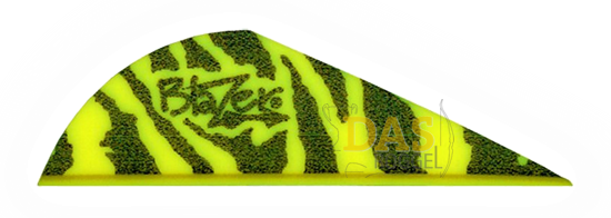 Bild von Fahnen Bohning Blazer  2"