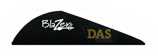 Bild von Fahnen Bohning Blazer  2"