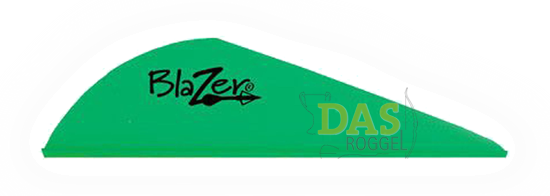 Bild von Fahnen Bohning Blazer  2"