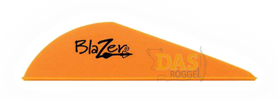 Bild von Fahnen Bohning Blazer  2"