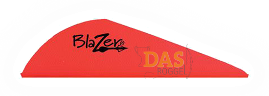 Bild von Fahnen Bohning Blazer  2"