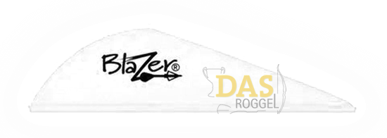 Bild von Fahnen Bohning Blazer  2"