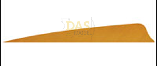 Picture of Feathers 3 Inch Shield 1 color
