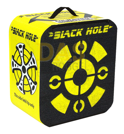 Picture of Target Field Logic Black Hole
