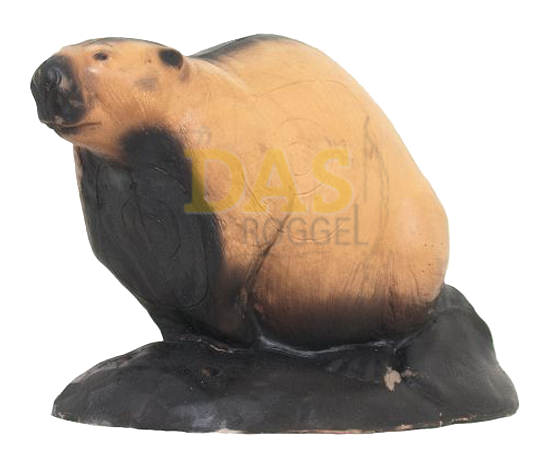 Bild von Wildlife Beaver