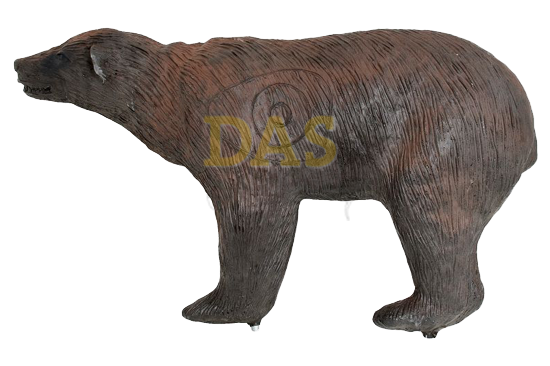 Picture of Wildlife Black Bear