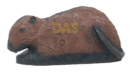 Afbeeldingen van Wildlife Coypu