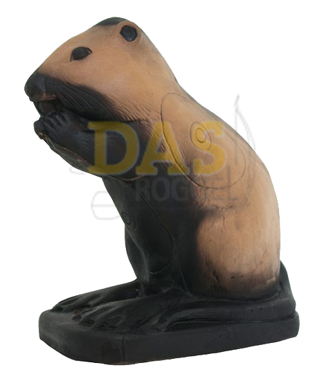 Image de Wildlife Coypu