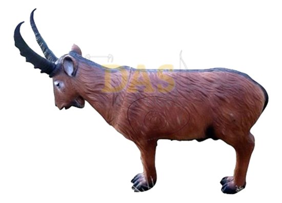 Image de Wildlife Capricorn