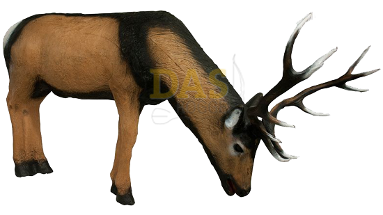 Image de Wildlife Deer Drinking