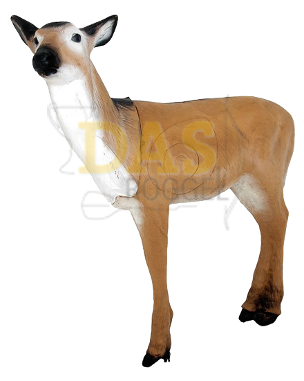 Image de Wildlife Doe