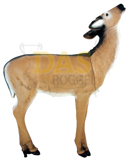 Image de Wildlife Doe eating
