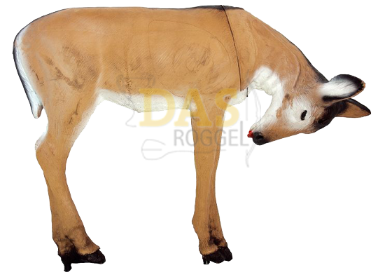 Picture of Wildlife Doe Licking