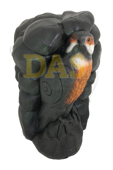 Image de Wildlife Falcon
