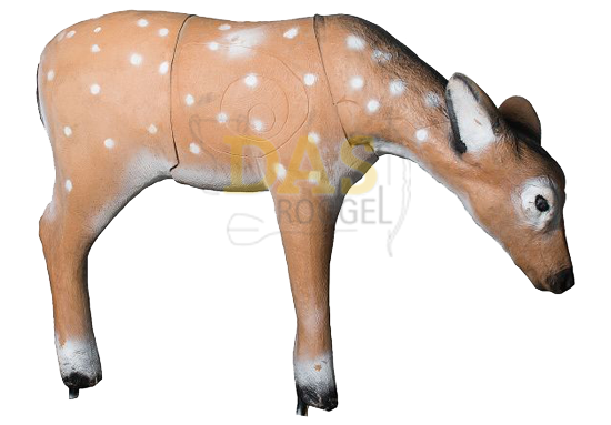 Picture of Wildlife Fallow Doe