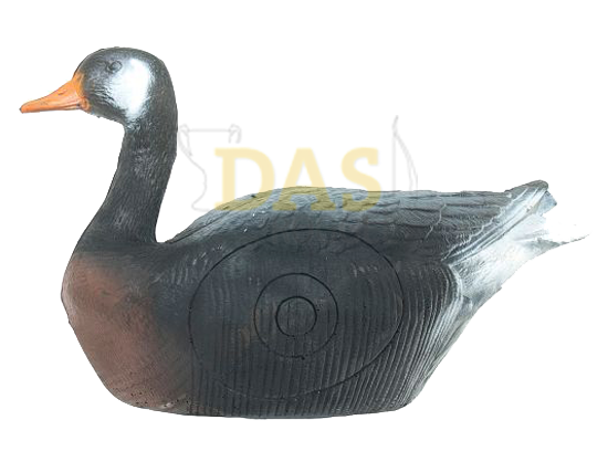Afbeeldingen van Wildlife Goose Canadian