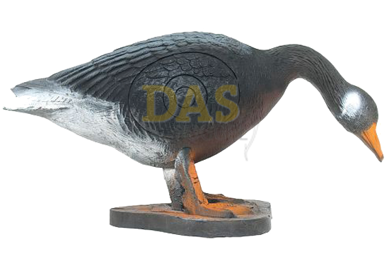 Bild von Wildlife Goose Canadian Drinking