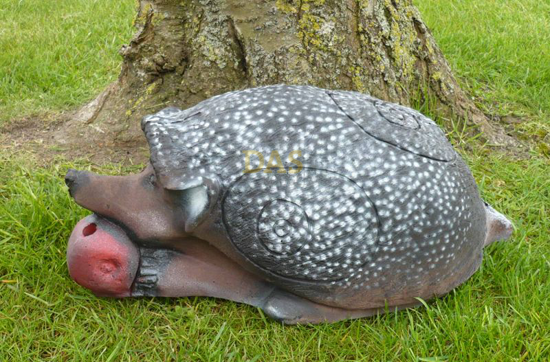 Image de Wildlife Hedgehog