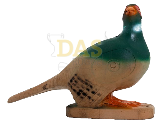 Bild von Wildlife Pheasant Green