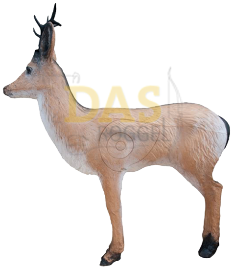 Image de Wildlife Roedeer Alterted