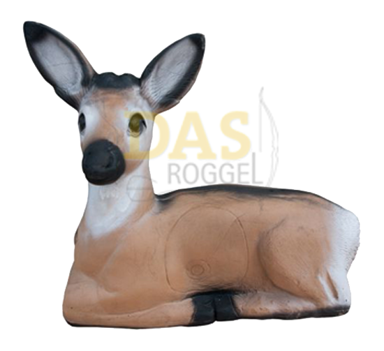 Picture of Wildlife Roedeer Bedded