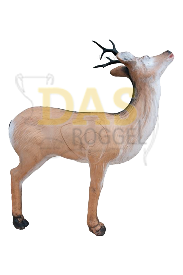 Bild von Wildlife Roedeer Eating