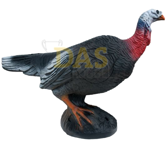 Picture of Wildlife Turkey Alerted