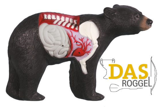 Rinehart Target 3D Anatomy Bear