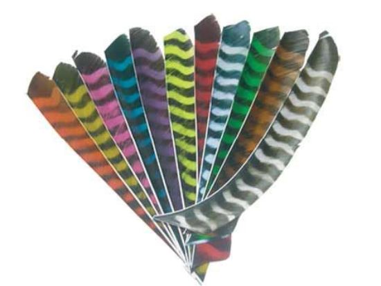 Feathers Full Length Barred