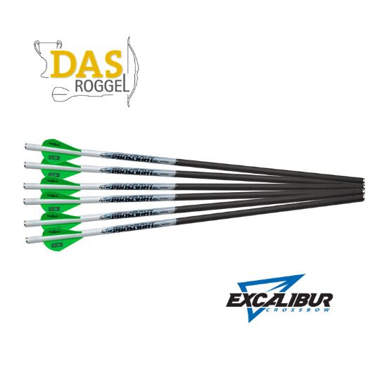 Excalibur Proflight Carbon Pijlen  20 Inch 6-Pack Kruisboog pijlen