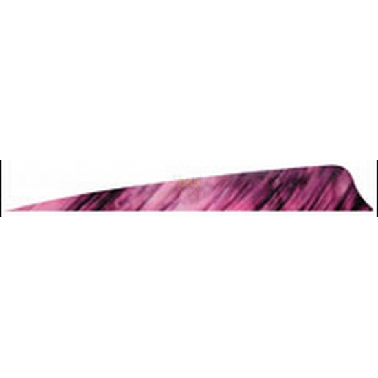 Picture of Feathers Tre Bark 4 Inch Purple Shield LW