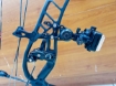 Image de HOYT DOUBLE XL COMPOUND NOIR RH USED