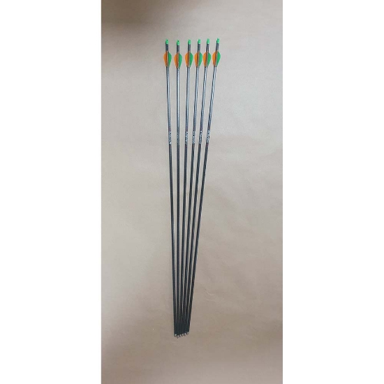 Bild von EASTON REDLINE PFEILE 1000 - GEBRAUCHT