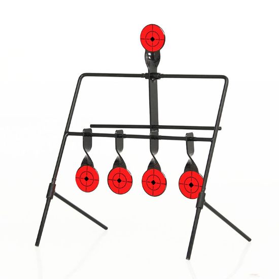 Picture of Shooting Reset  5 H Target Sports