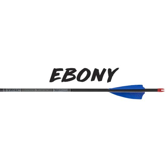 Image de SKYLON PIJLEN CARBON EBONY ID5.2 12pk