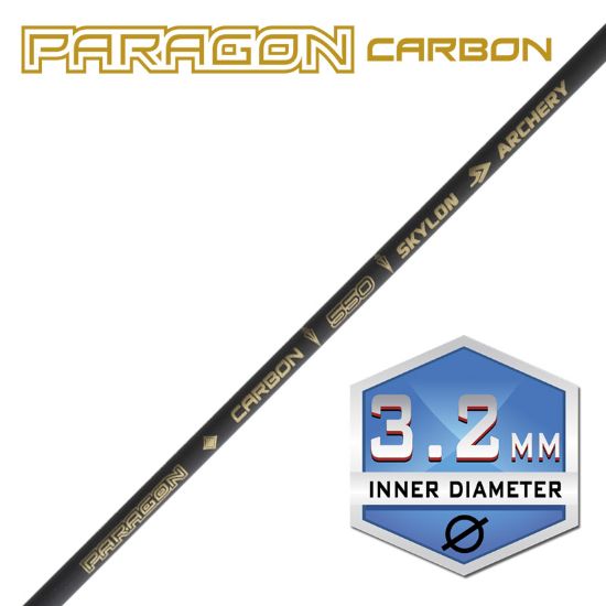 Image de Skylon Paragon  ID3.2  Carbon Tube 12pk